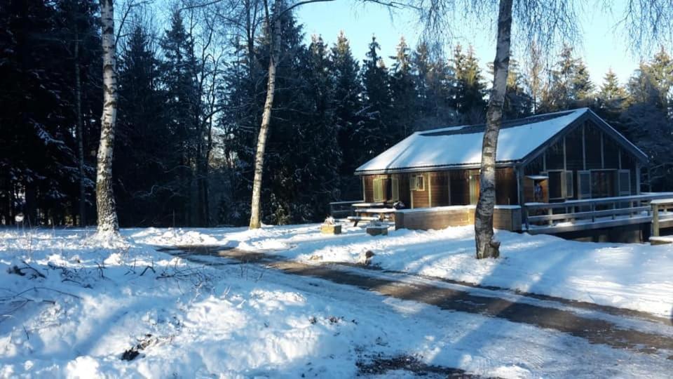 Chalet "A L Oree Du Bois" 比林根 外观 照片