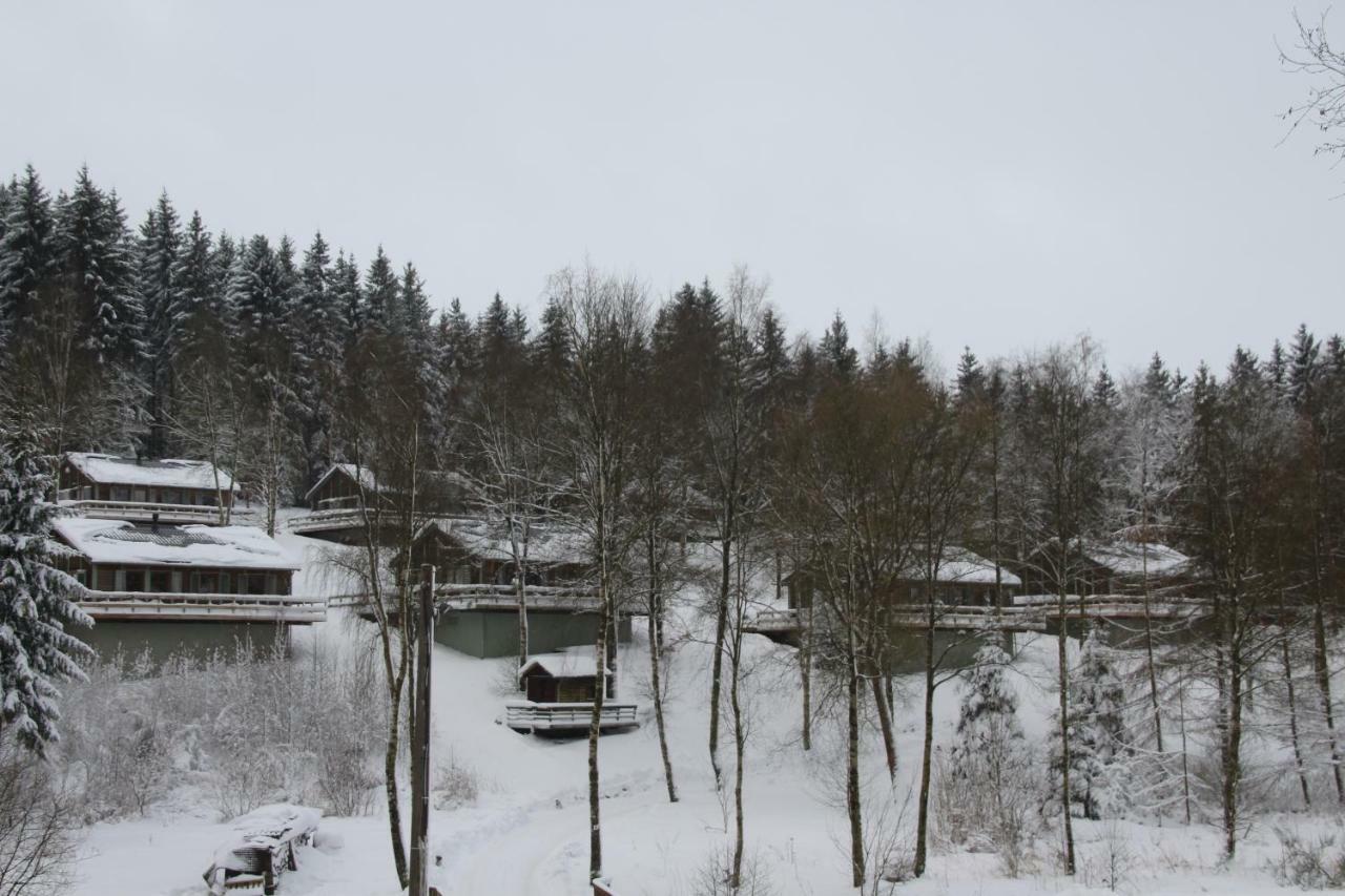 Chalet "A L Oree Du Bois" 比林根 外观 照片